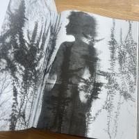 Cowboy Kate & other stories : director's cut