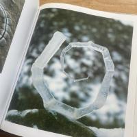 Andy Goldsworthy : a collaboration with nature