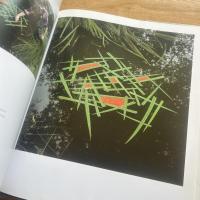 Andy Goldsworthy : a collaboration with nature
