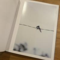 Des oiseaux（On birds）サイン本