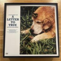 A LETTER TO TRUE COLLECTOR'S BOX