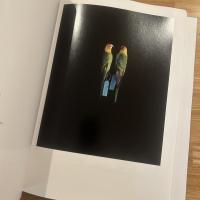 鳥のビオソフィア : 写真家上田義彦のマニエリスム博物誌