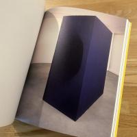 Anish Kapoor : with 189 illustrations, 130 in colour