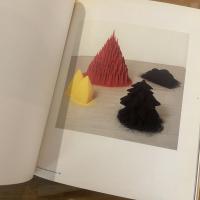 Anish Kapoor : with 189 illustrations, 130 in colour