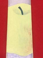短冊【福島金一郎・彩色絵入 毛筆肉筆 】