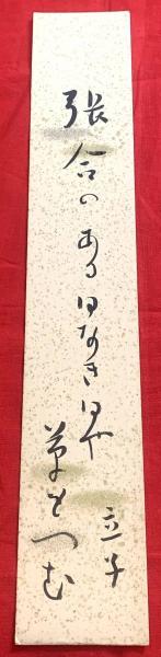 石をもて追わるるごとく : 日系カナダ人社会史(新保満 著