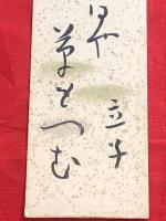 短冊【星野立子・毛筆肉筆】
