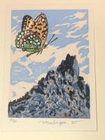 【山の本を求めて東奔西走】愛書家版 限定50部の内2番
