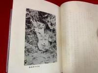 【山の隣人】