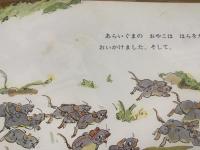【あらいぐまとねずみたち　こどものとも217号】