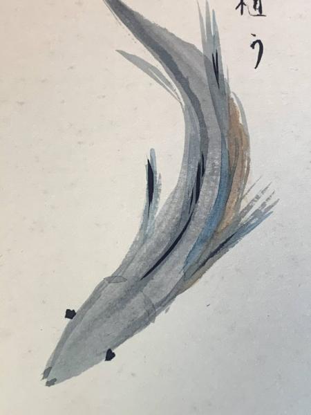 森繁久彌、色紙、彩色絵入り、毛筆肉筆、落款、裏宛名】(森繁久彌 森繁久彌、色紙、彩色絵入り、毛筆肉筆、落款、裏宛名】(森繁久彌