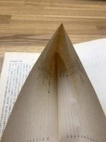 【上海 岩波新書89】