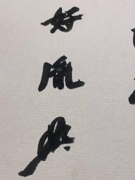 高田好胤 色紙 毛筆肉筆】(高田好胤) / 古本、中古本、古書籍の通販は