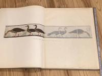Ancient Egyptian Paintings Vol.1-2(図版編)2冊、古代エジプト画・超大判画集（巻解説編欠）