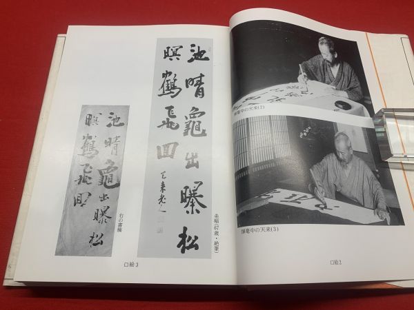 【70％OFF】 書の伝統と創造 南谷 天来【著】比田井 天来翁書話抄】(比田井 : 複数作家