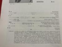 墨美<46号>　昭和30年7月　書芸術雑誌