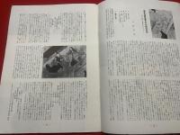 墨美<42号>　昭和30年2月　書芸術雑誌