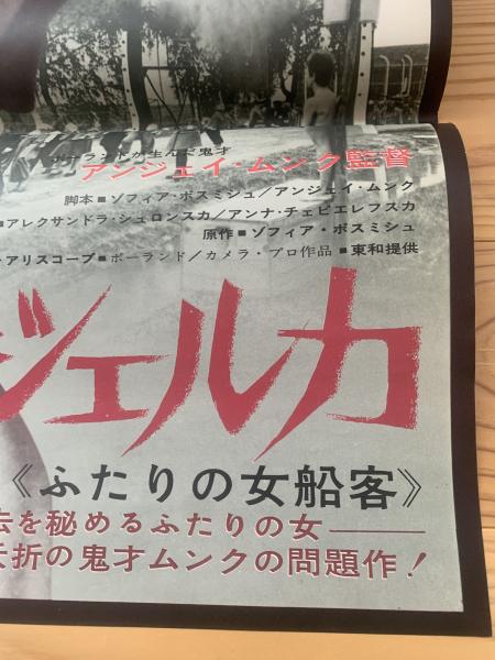 パサジェルカ [DVD]