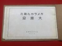 カメラから観た大東京