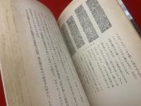 失われたマヤ王国
