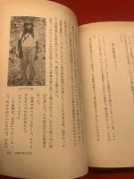 失われたマヤ王国