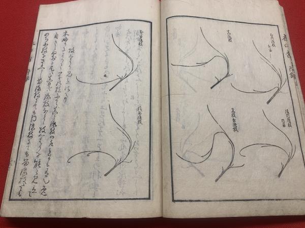 1月 家元のいけばな 花伝書にみる「寿ぎの花形」