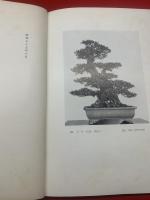 桃李庵盆栽記念帖