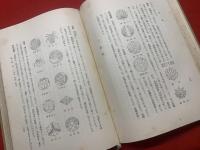 綱要日本紋章學