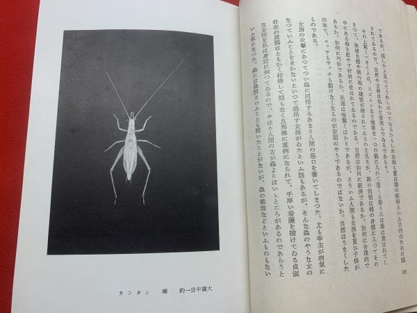 虫・人・自然(大町文衛 著) / ブックセンター・キャンパス 虫・人・自然(大町文衛 著) / ブックセンター・キャンパス