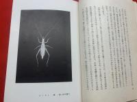 虫・人・自然