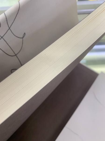 量子と非平衡系の物理 : 量子力学の基礎と量子情報・量子確率過程(柴田