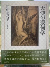 天使の幾何学 : 田中美代子・評論集