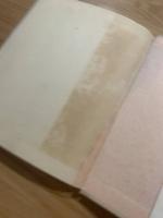 詩集ひとりの夏　ピポー叢書