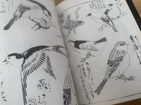 江戸雛形 壹(マール社編集部編) / 古本、中古本、古書籍の通販は「日本