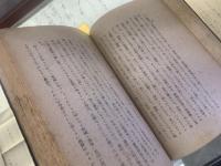 日本探偵小説傑作集