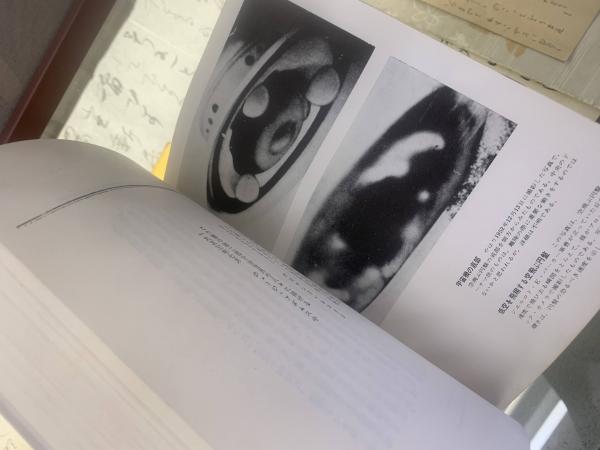 空飛ぶ円盤実見記 | ¥2,200 - 日本の古本屋 / 日本の古本屋