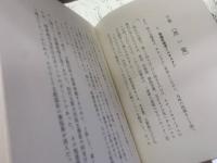 新疆砂漠脱走記　上下巻
