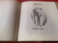 標本箱の少年 : 建石修志画集(建石修志 著) / 古本、中古本、古書籍の