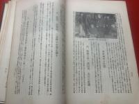 明治戊辰梁田戰蹟史