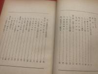 私の選挙戦