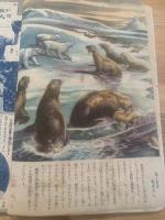 少年クラブ 昭和23年12月号 第35巻第12号