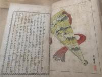 日本婦女鑑 : 貴女至宝