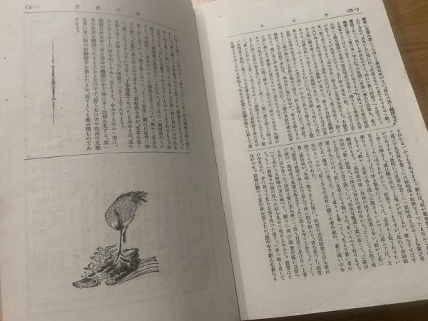 古書　小公子　巖本嘉志子