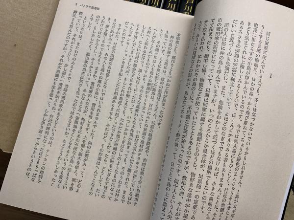 江戸川乱歩文庫 全30冊 春陽文庫