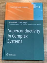 Superconductivity in complex systems