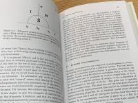 New superconductors : from granular to high Tc