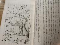 未明童話 (青いランプそのほか)