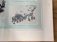 ◆八甲田山雪中強行軍◆歩兵第三十一連隊