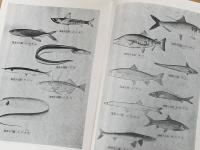 食用魚の味と營養
