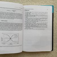 Quantum computing and quantum bits in mesoscopic systems